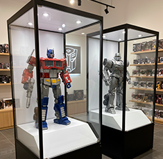 Memorabilia Display Cabinets